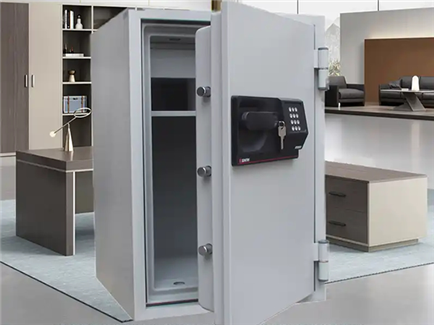 Safe case